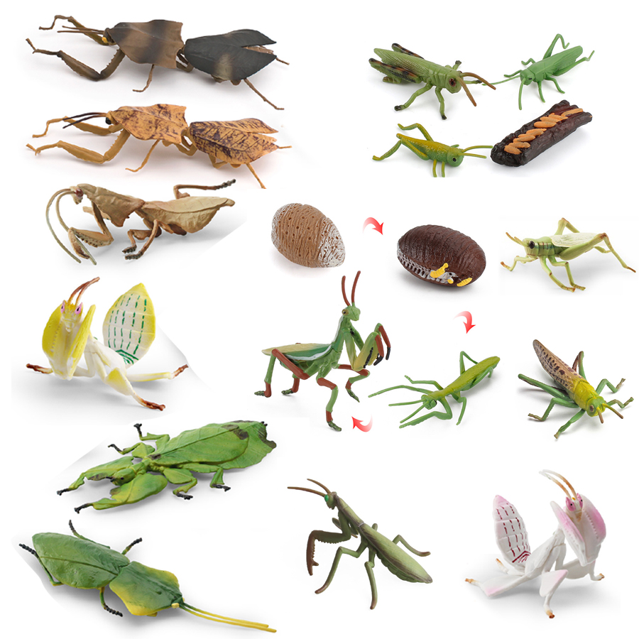 Kids Toys Under 1 Year - Realistyczna figurka modliszki orchidejowej, modliszki z