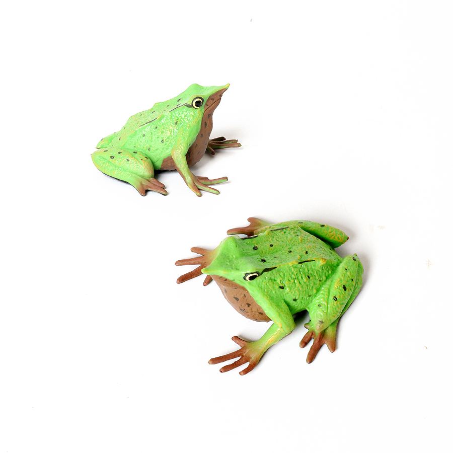 Rainforest Animals Frogs Figur – Kids Toys Under 1 Year recenzja i cena
